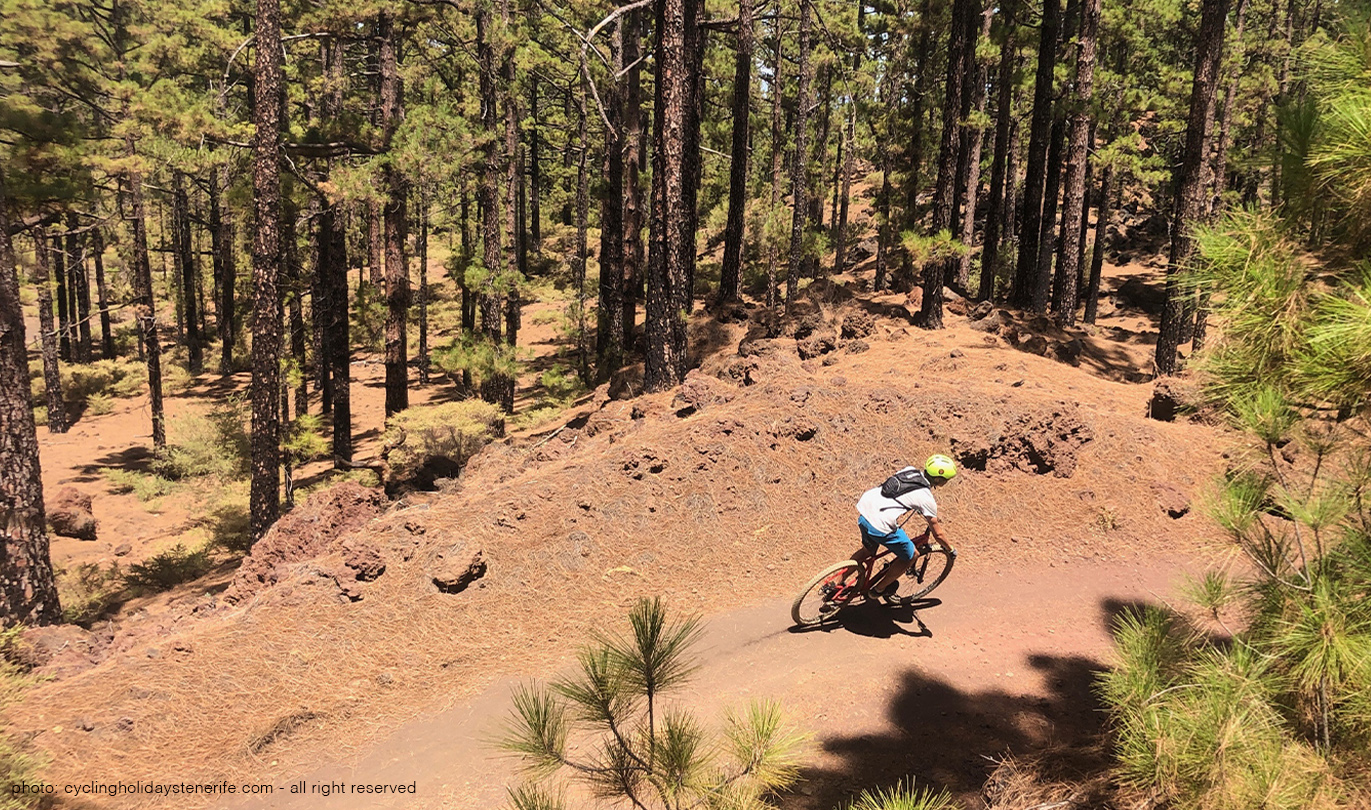 El Chinyero Mtb Bike Tour Bike Point Tenerife Bike Hire & Bike Rental