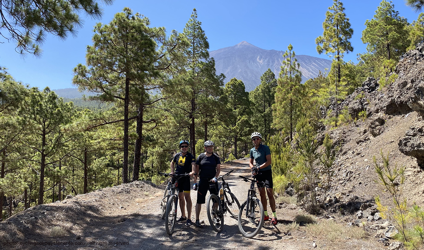 El Chinyero Mtb Tenerife Bike Point Tenerife Bike Hire & Bike Rental