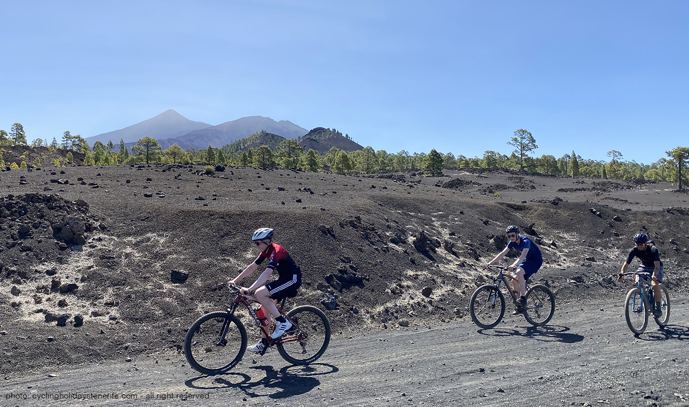 El Chinyero Tour Mtb Tenerife Cycling Bike Point Tenerife Bike Hire & Bike Rental