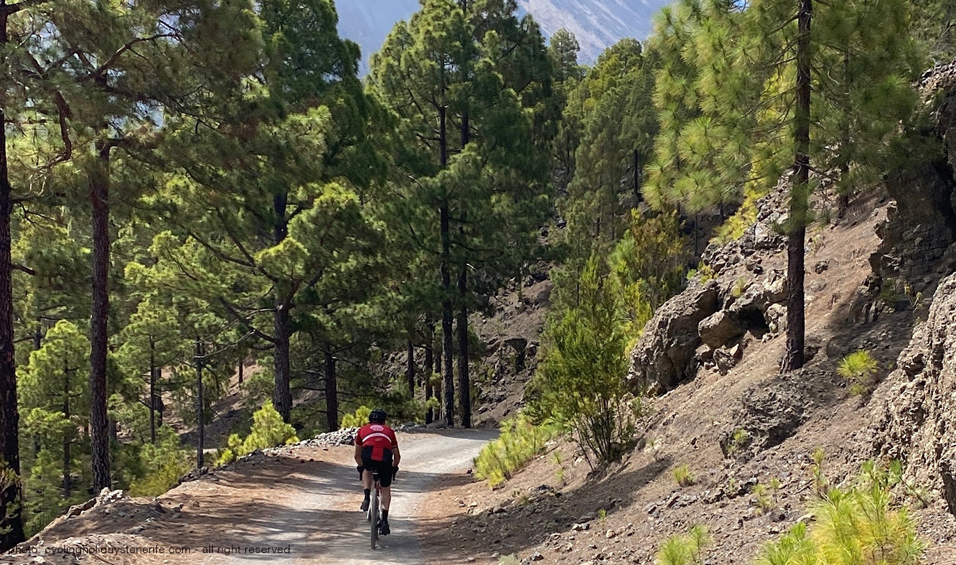 El Lagar Gravel Tour Tenerife Bike Point Tenerife Bike Hire & Bike Rental