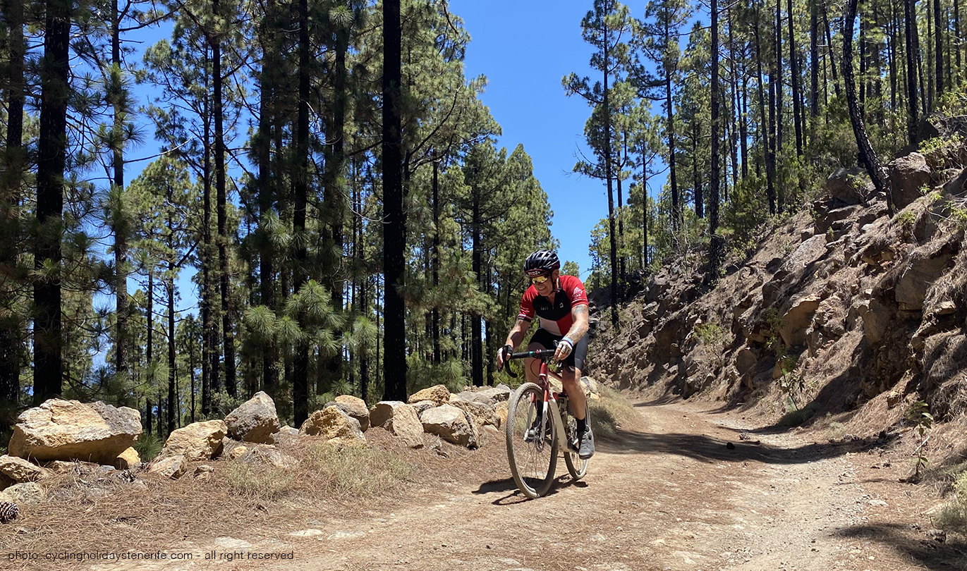 El Lagar Gravel In Tenerife Bike Point Tenerife Bike Hire & Bike Rental