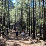 El Lagar Gravel Tour Bike Point Tenerife Gravel Tours 3 Bike Point Tenerife Bike Hire & Bike Rental