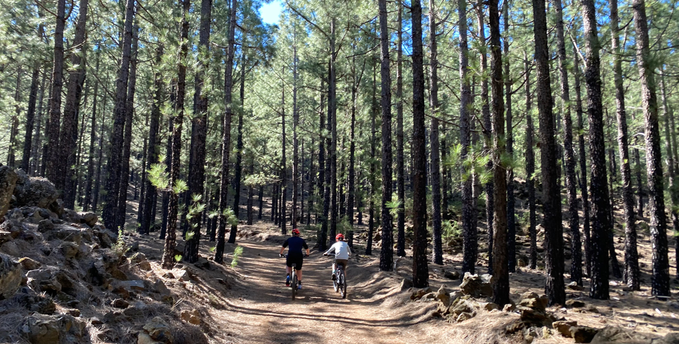 El Lagar Gravel Tour Bike Point Tenerife Gravel Tours 3 Bike Point Tenerife Bike Hire & Bike Rental