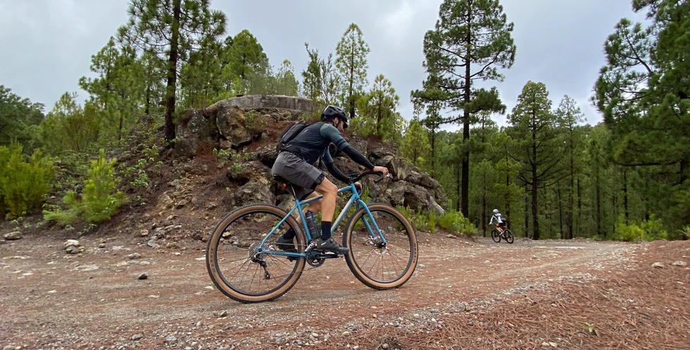 El Lagar Gravel Tour Bike Point Tenerife Gravel Tours 5 Bike Point Tenerife Bike Hire & Bike Rental
