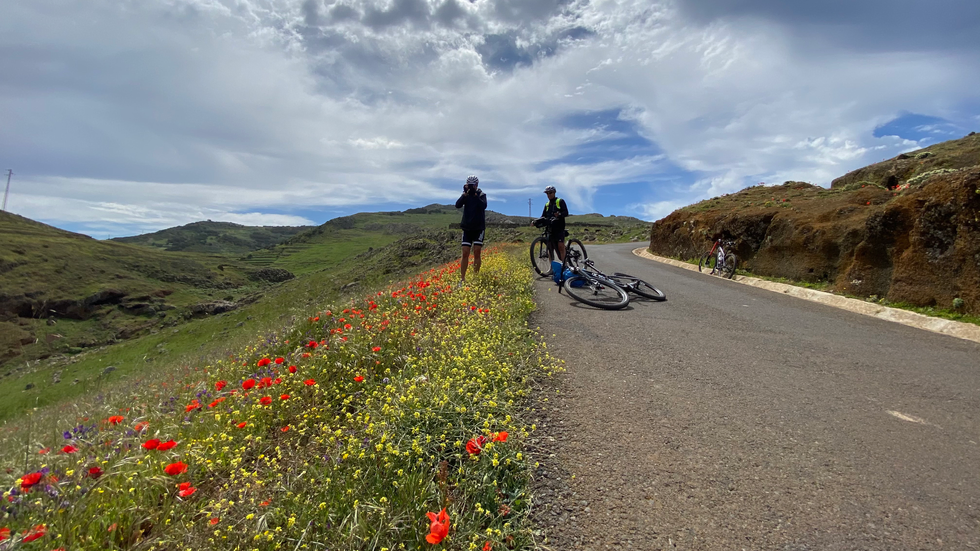 Teno Alto Gravel Bike Tour Tenerife 3 Bike Point Tenerife Bike Hire & Bike Rental