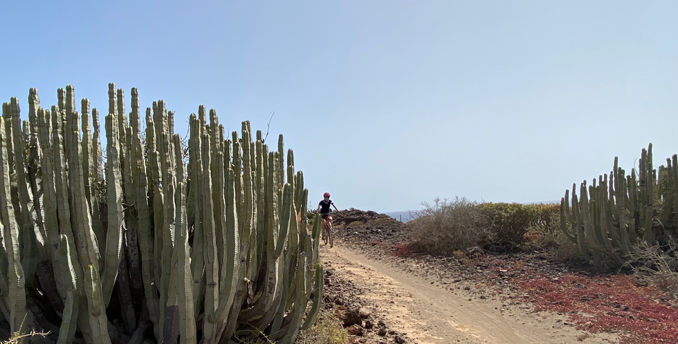 The South Coast Gravel Tour Bike Point Tenerife 4 Bike Point Tenerife Bike Hire & Bike Rental