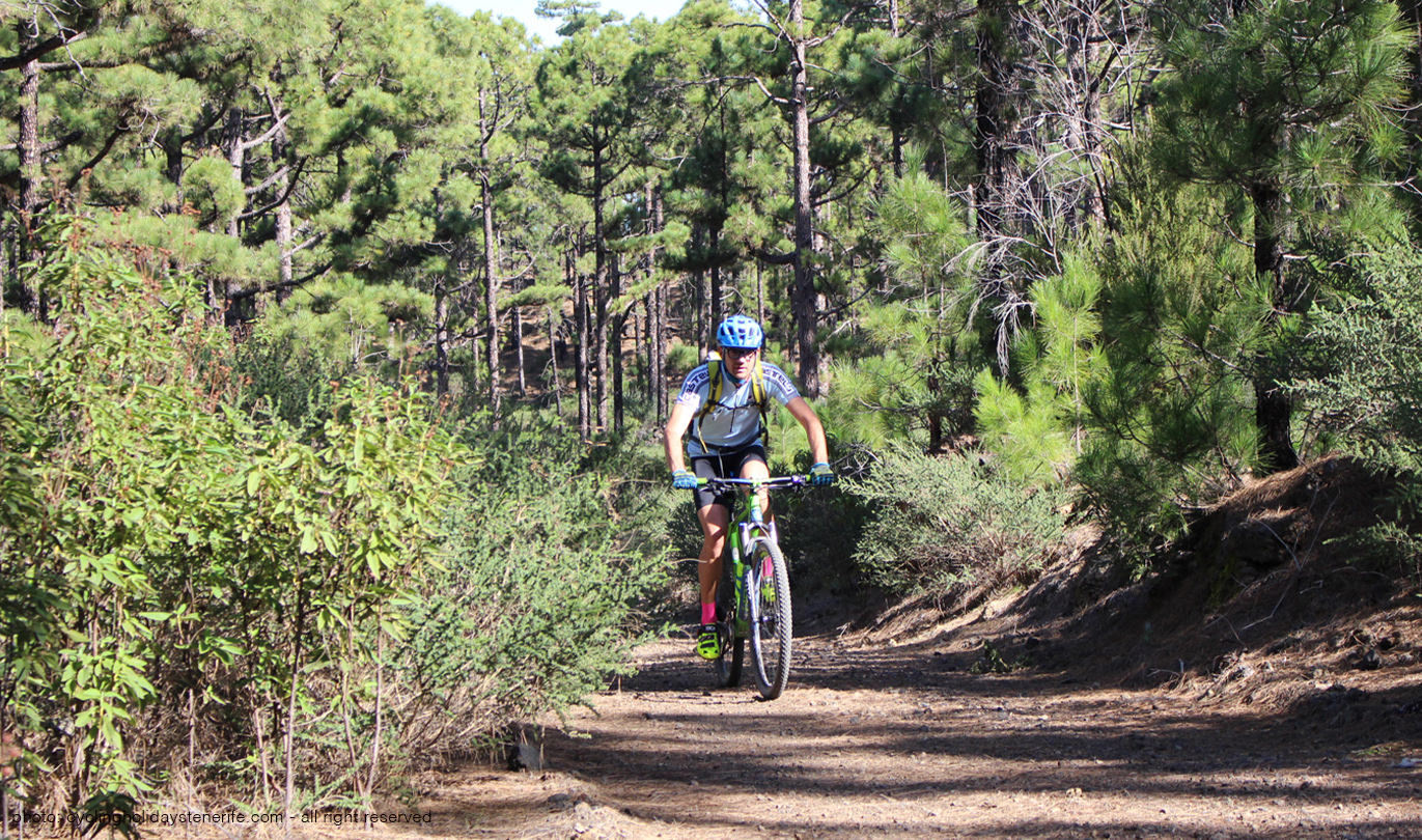 Arena Negra Mtb Guided Tour Tenerife Bike Point Tenerife Bike Hire & Bike Rental