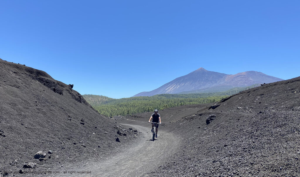 Arena Negra Mtb Guide Tour Tenerife Bike Point Tenerife Bike Hire & Bike Rental