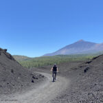 Arena Negra Mtb Guide Tour Tenerife Bike Point Tenerife Bike Hire & Bike Rental