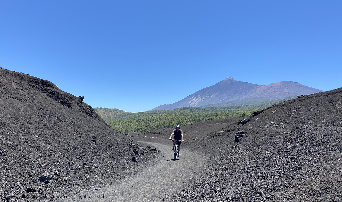 Arena Negra Mtb Guide Tour Tenerife Bike Point Tenerife Bike Hire & Bike Rental