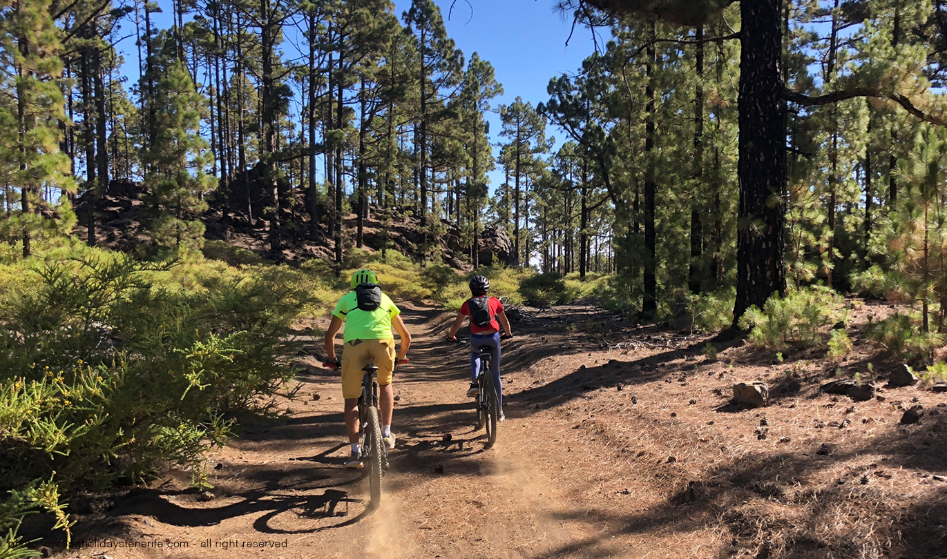 Arena Negra Tour Emtb Tenerife Bike Point Tenerife Bike Hire & Bike Rental