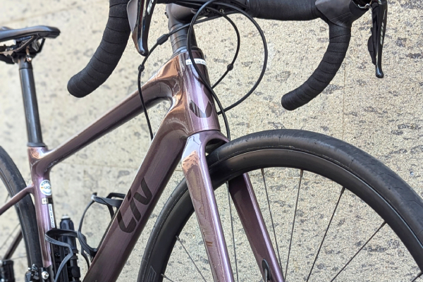 Liv Avail Front Bike Point Tenerife Bike Hire & Bike Rental