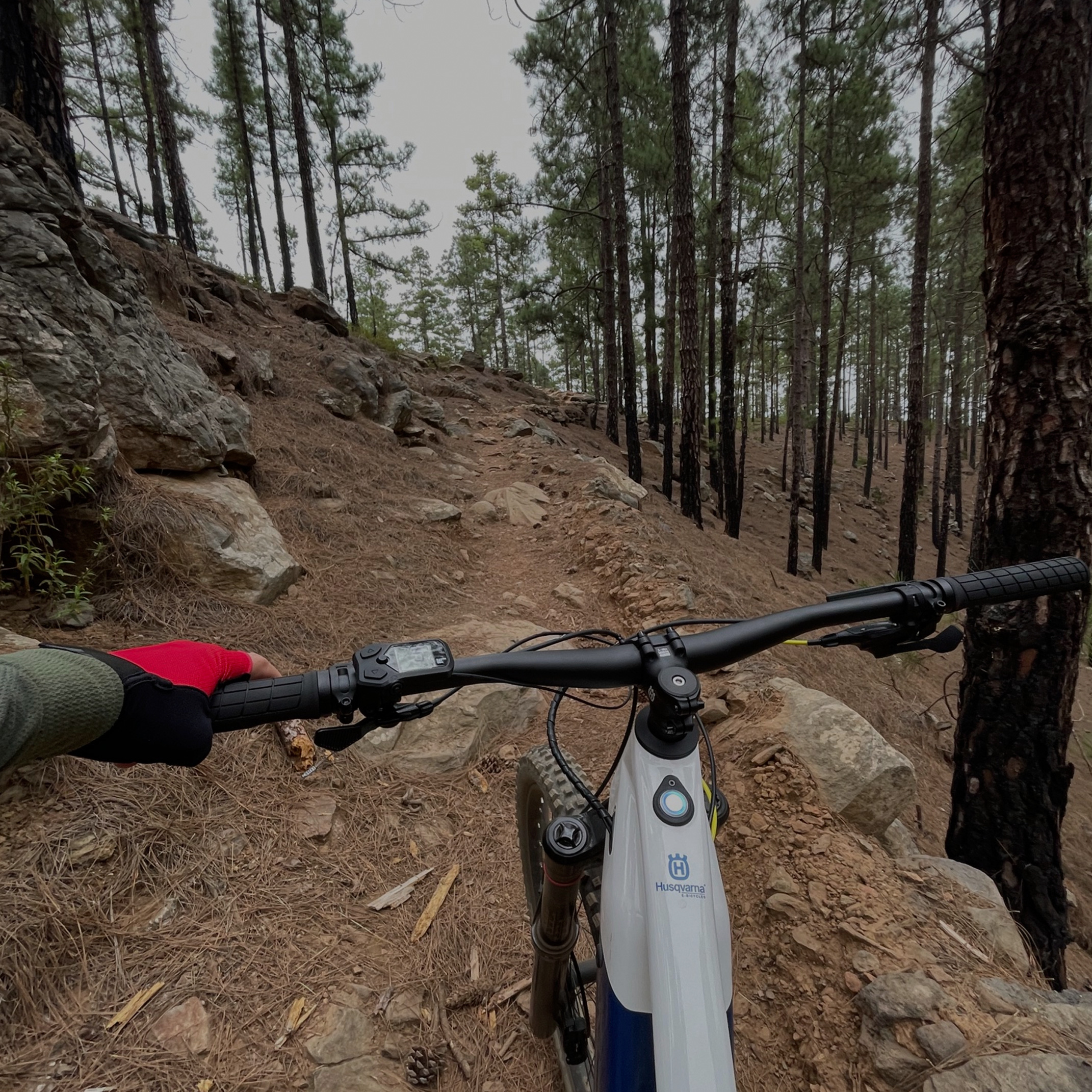 Las Lajas Downhil 3 Bike Point Tenerife Bike Hire & Bike Rental