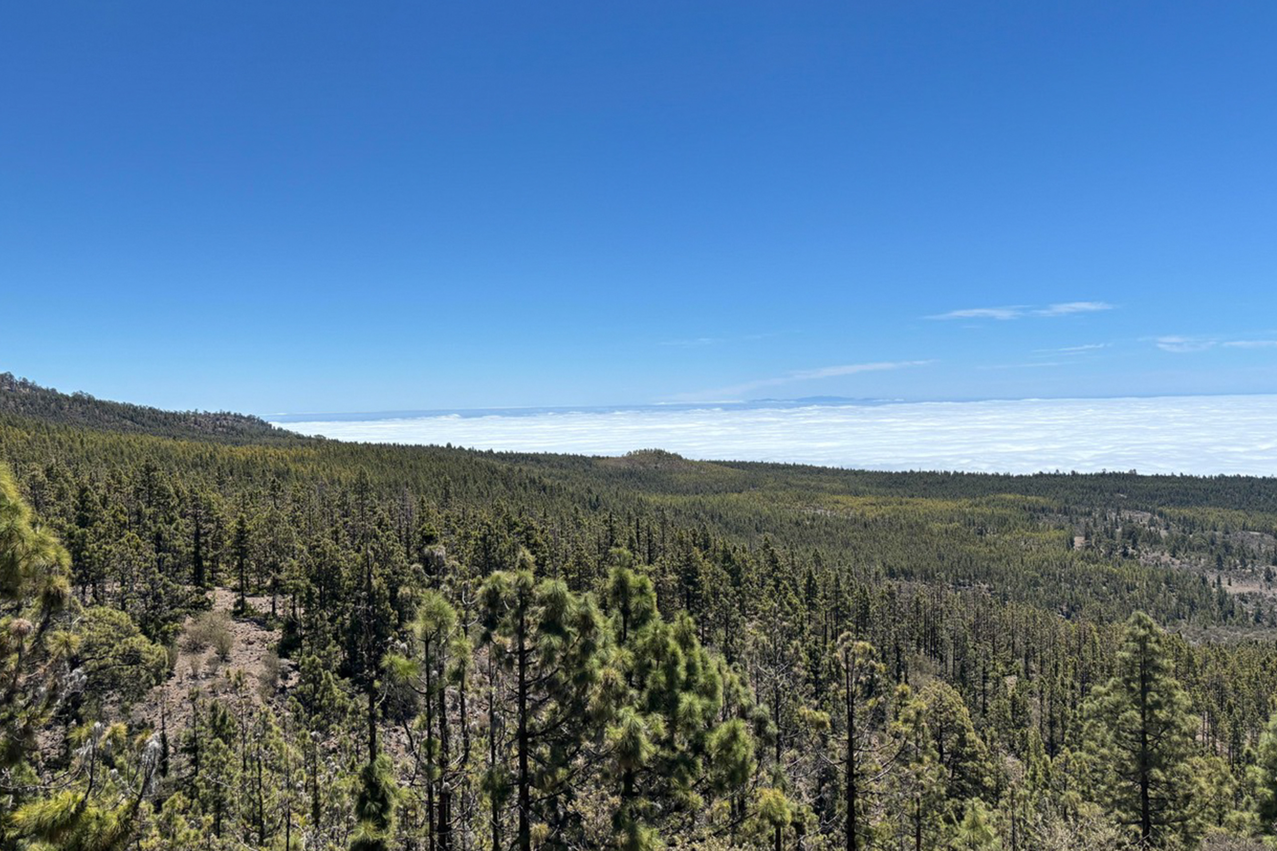 Lunar Landscape 2 Bike Point Tenerife Bike Hire & Bike Rental
