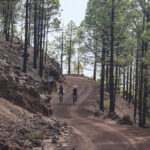 Vilaflor Flor Teide Gravel Road Tour 2 Bike Point Tenerife Bike Hire & Bike Rental