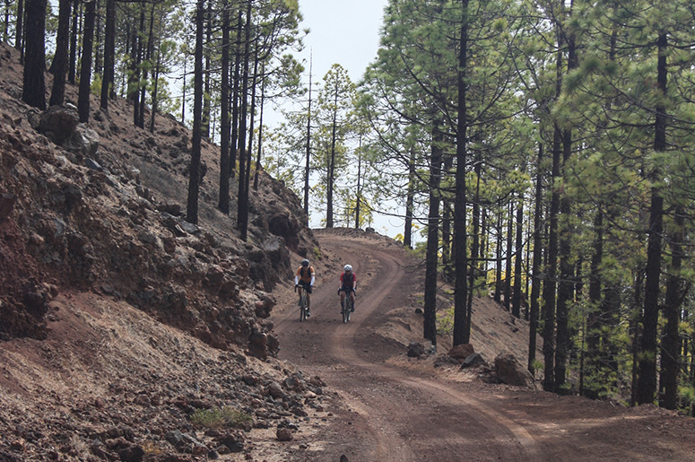 Vilaflor Flor Teide Gravel Road Tour 2 Bike Point Tenerife Bike Hire & Bike Rental
