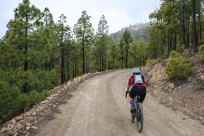 Vilaflor Flor Teide Gravel Road Tour 3 Bike Point Tenerife Bike Hire & Bike Rental