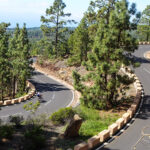 Mount Tede Road South 4 Bike Point Tenerife Bike Hire & Bike Rental