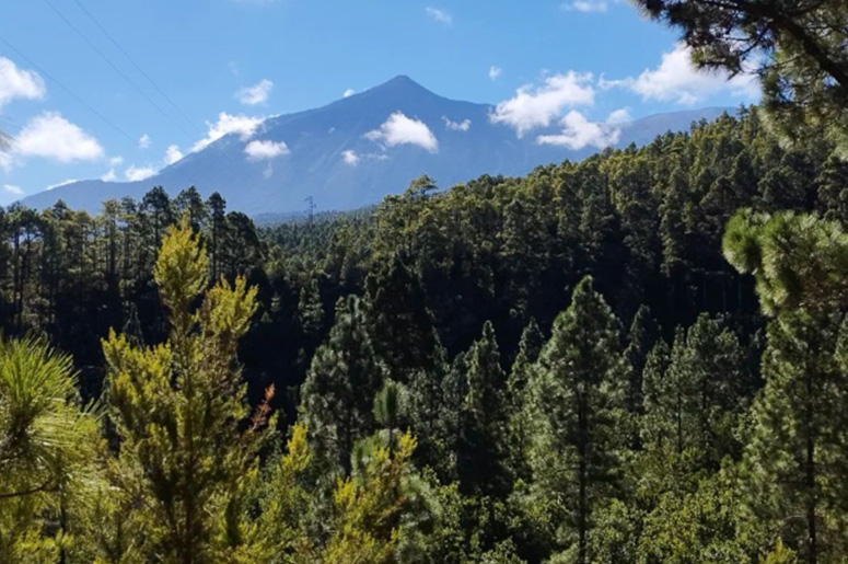 North West Gravel Trails Grave Bike Tours 6 Bike Point Tenerife Bike Hire & Bike Rental