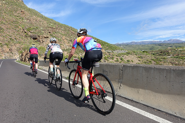 Windmills Climb East Coast Road Bike Tour Tenerife Small Bike Point Tenerife Bike Hire & Bike Rental