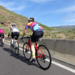 Windmills Climb East Coast Road Bike Tour Tenerife Small Bike Point Tenerife Bike Hire & Bike Rental